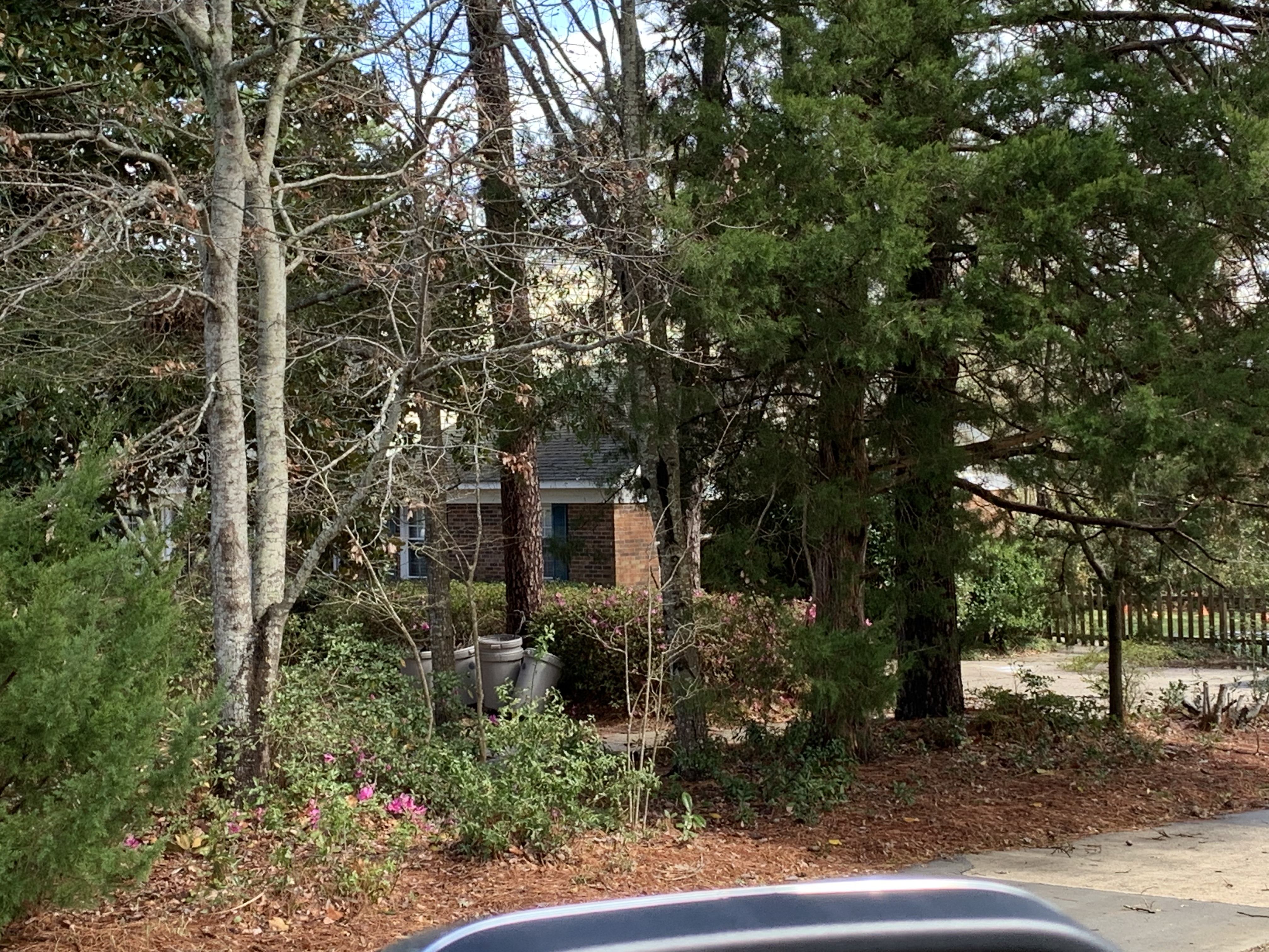 ./2022/01 - Wilmington/IMG_8641.JPG